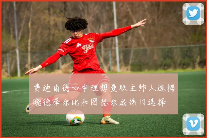 费迪南德心中理想曼联主帅人选揭晓德泽尔比和图赫尔成热门选择