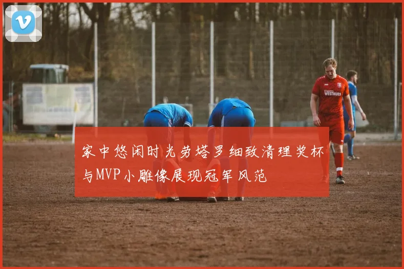 家中悠闲时光劳塔罗细致清理奖杯与MVP小雕像展现冠军风范