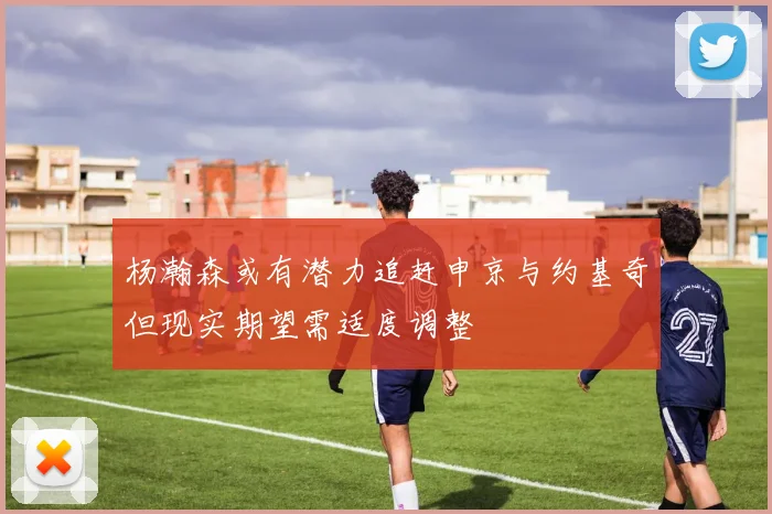 杨瀚森或有潜力追赶申京与约基奇但现实期望需适度调整